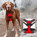 Coleira Peitoral Ajustável com 2 Fivelas para Guias