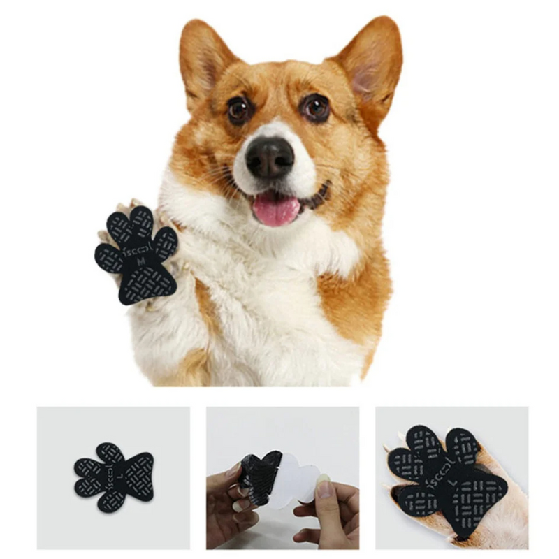 Protetor de Pata Antiderrapante PetCare (Promoção)