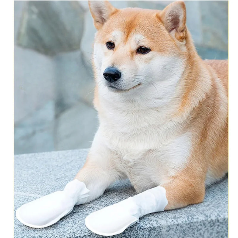 CapaPet - Protetores para Patas 20 UNIDADES