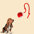 Brinquedo Bolinha Automática Eletrônica para Cães