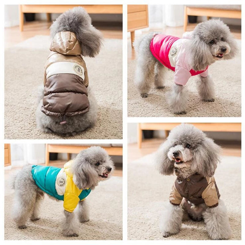 Roupinha para cachorro - Jaqueta Impermeável com Capuz