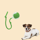 Brinquedo Bolinha Automática Eletrônica para Cães