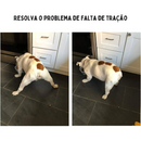 Protetor de Pata Antiderrapante PetCare (Promoção)