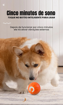 Bolinha PetSmart (Promoção)