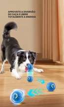 Bolinha PetSmart (Promoção)