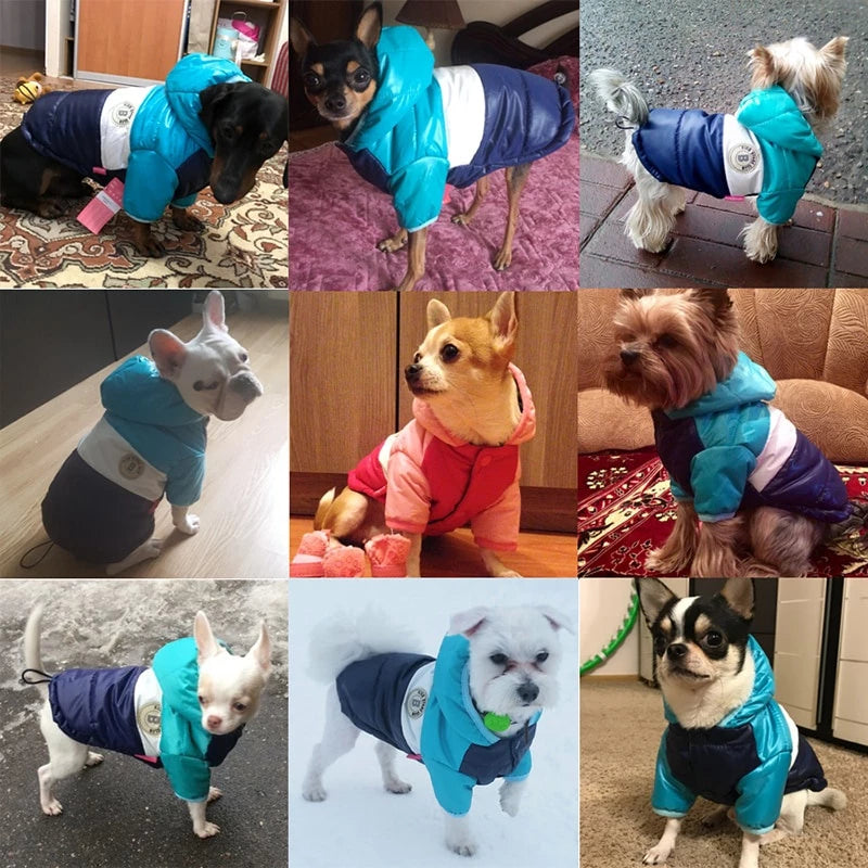 Roupinha para cachorro - Jaqueta Impermeável com Capuz