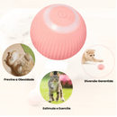 Bolinha Interativa com Rolamento Automático