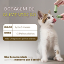 Palito Mastigável de Grama