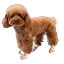 Bandagem Elástica - MimosCare