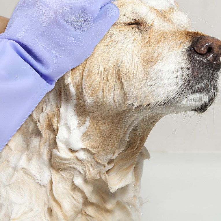 Luva para Banho - PetCare (Promoção)