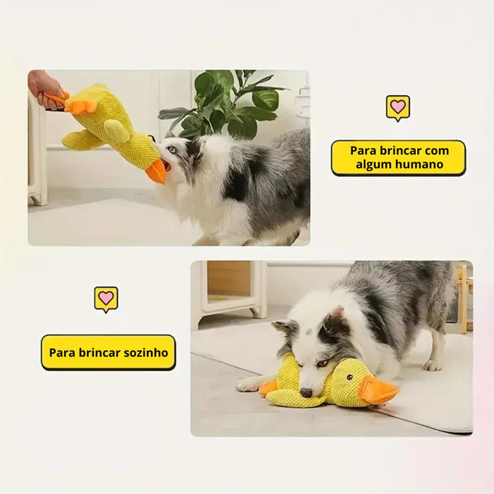 Pato Amigo - MimosCare