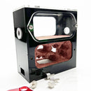 Formigueiro Artificial Profissional - Fazenda de Formigas