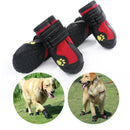 Sapato para Cachorro - Pet Boots