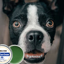 Hidratante para Cães - MimosSnout