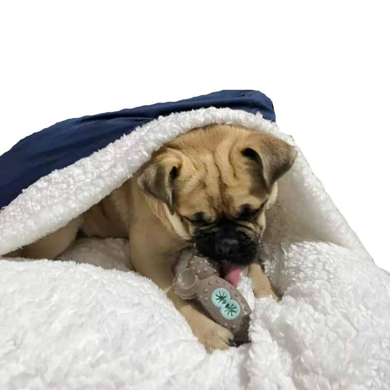 Caminha Pet Canguru