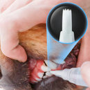 Caneta de Cuidado Dental - PetCare (Promoção)