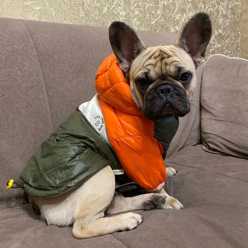 Roupinha para cachorro - Jaqueta Impermeável com Capuz