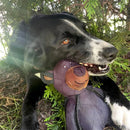 BiteBear - Brinquedo Indestrutível Para Seus Pets