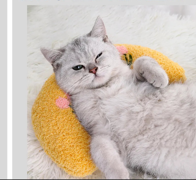Travesseirinho Para Pet I Confort Relaxing