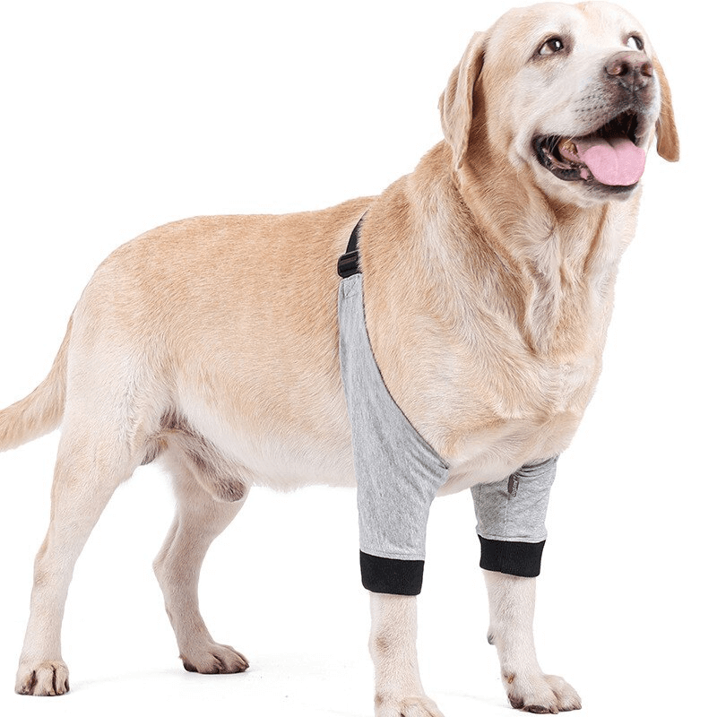 Protetor de Cotovelo para Cães - Mimos