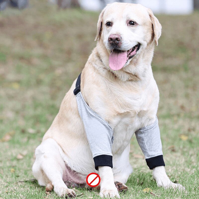 Protetor de Cotovelo para Cães - Mimos