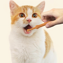 Escova de dente para pets