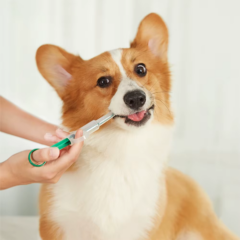 Seringa de Medicamento para Cães