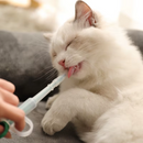 DoseFácil - facilitador de comprimidos