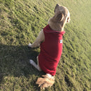 MimoInverno – Colete Pet Super Quente e Seguro